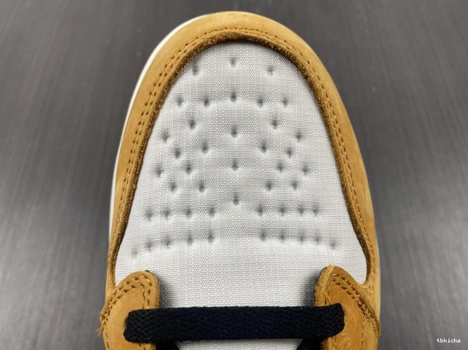 Reps TBK Jordan Curry 1 High Light DB2889-700 Gore-Tex Element 0817